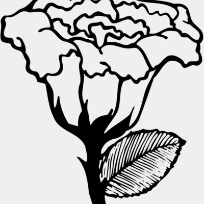 FLOWER10 Thumbnail