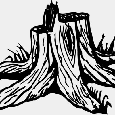 TIMBER09 Thumbnail