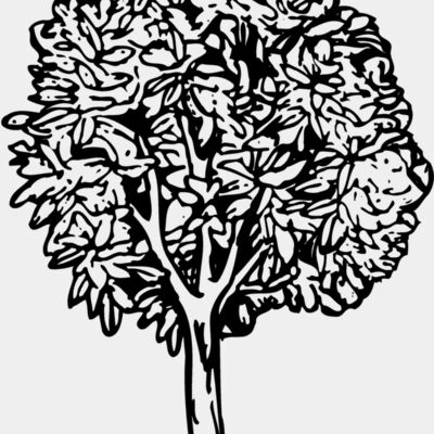 TREE0014 Thumbnail