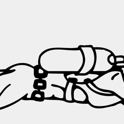 SWIM08 Thumbnail