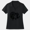 Women's Dri Mesh ® V Neck Polo Thumbnail