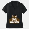 Women's Dri Mesh ® V Neck Polo Thumbnail