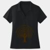 Women's Dri Mesh ® V Neck Polo Thumbnail