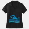 Women's Dri Mesh ® V Neck Polo Thumbnail
