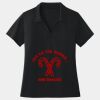 Women's Dri Mesh ® V Neck Polo Thumbnail